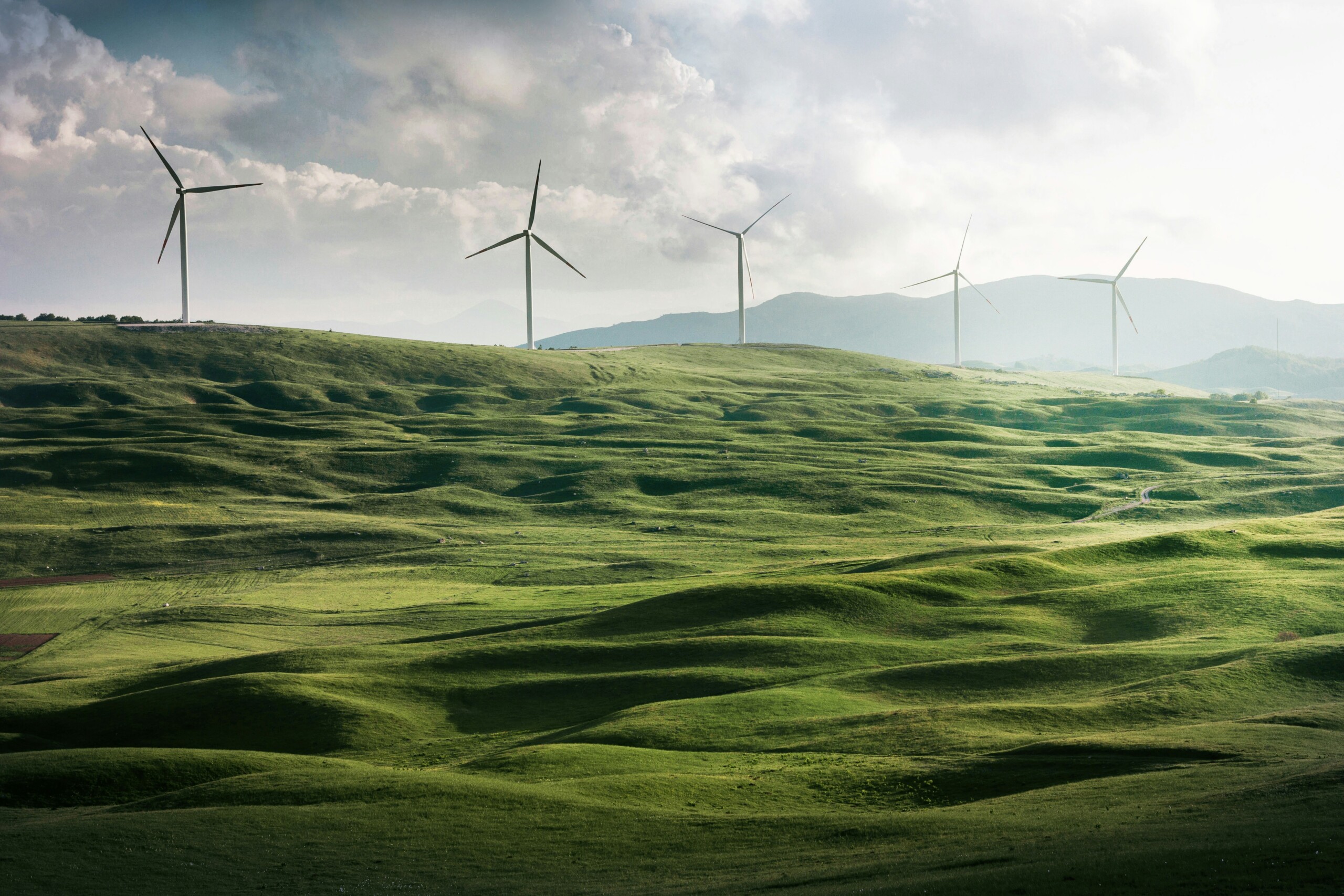 NOWN's Commitment to Sustainability and Innovation: A Detailed Environmental Evaluation