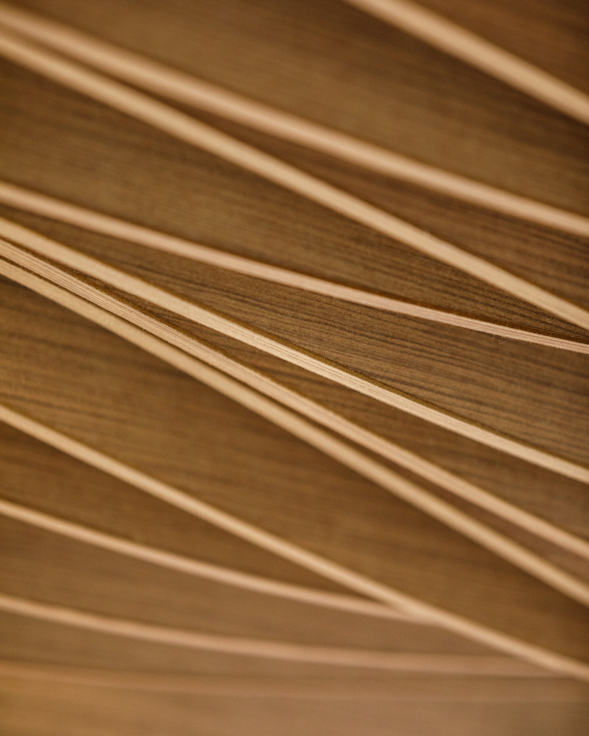 Circular Materials in Architecture: What Architects Should Look For in Ceilings, Walls, and Facades